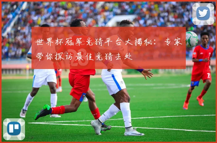 世界杯冠军竞猜平台大揭秘:专家带你探访最佳竞猜去处