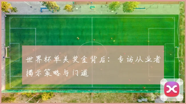 世界杯单关奖金背后：专访从业者揭示策略与门道