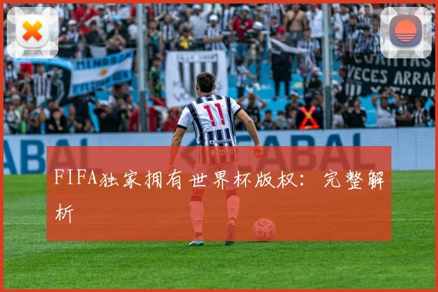 FIFA独家拥有世界杯版权:完整解析