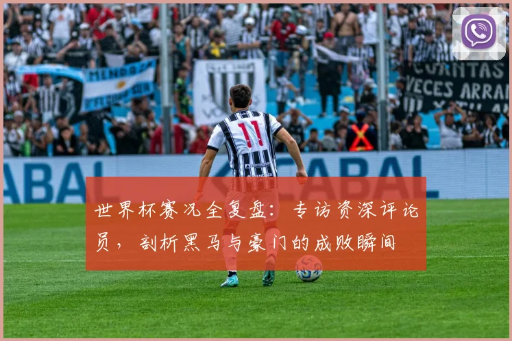 世界杯赛况全复盘：专访资深评论员，剖析黑马与豪门的成败瞬间