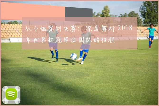 从小组赛到决赛：深度解析 2018 年世界杯冠军法国队的征程