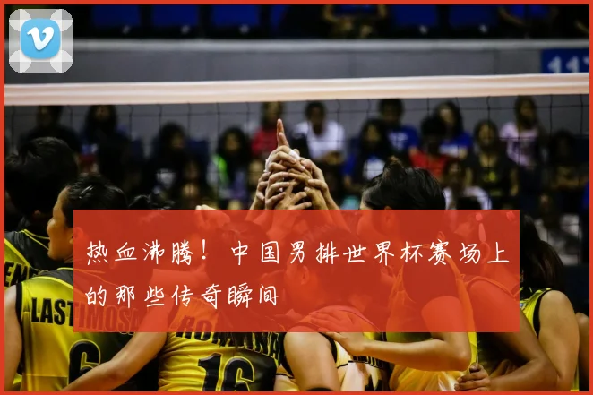 热血沸腾！中国男排世界杯赛场上的那些传奇瞬间