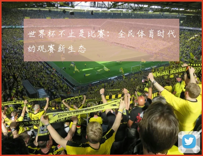 世界杯不止是比赛:全民体育时代的观赛新生态
