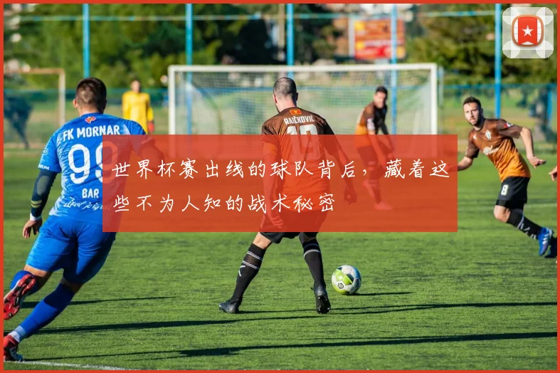 世界杯赛出线的球队背后,藏着这些不为人知的战术秘密