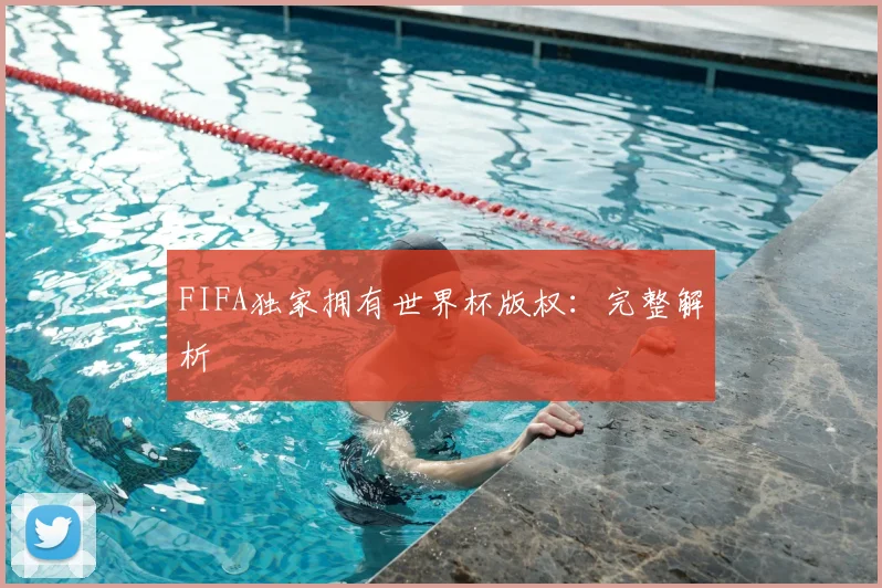 FIFA独家拥有世界杯版权:完整解析
