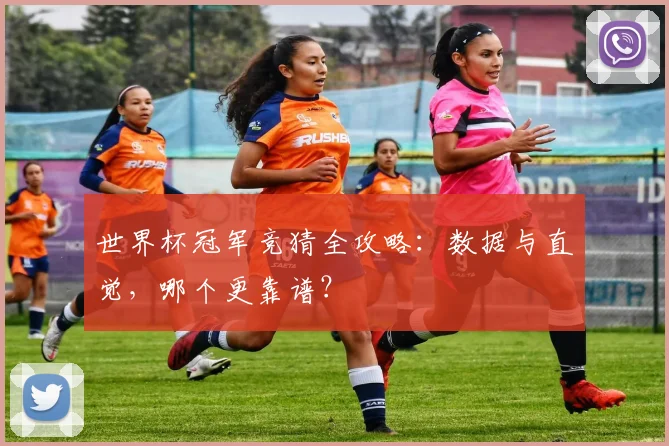 世界杯冠军竞猜全攻略:数据与直觉,哪个更靠谱?